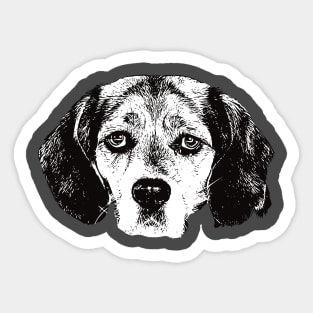 Beagle - Beagle Christmas Gifts Sticker